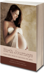 The Birth Journeys book